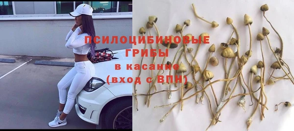 каннабис Бородино