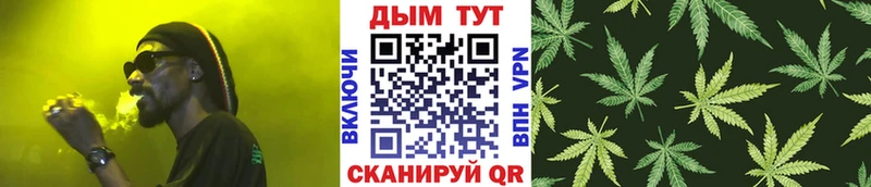 Канабис планчик  Купить закладки  Чадан 